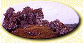 July 1st 2007 A.D.- Thirteenth Sunday in Ordinary time