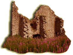 September 16th, 2012 A.D. - 24th Sunday in Ordinary Time, Mk 8/27-35