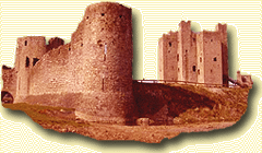 January 25th. 2015 - Third Sunday in Ordinary Time