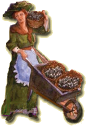 Irish Crystal by Andrew M Greeley