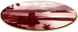 Read the Chicago SunTimes' Daily Southtown articles