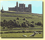 May 18th, Fifth Sunday of Easter Jn 15/1-8