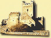 May 11, 2003 Fourth Sunday of Easter